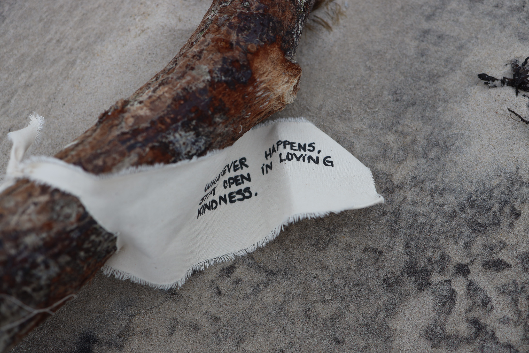 Loving kindness